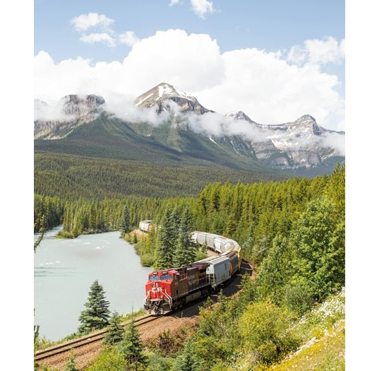 article train1 reduced